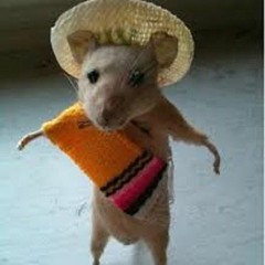 just a mexican rat