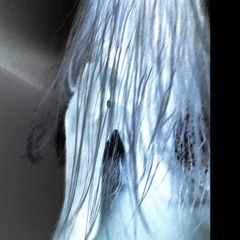graydigit