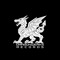 Dragonwerks Records