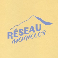 Réseau Morilles