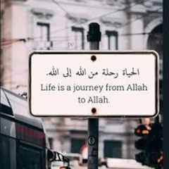 هيثم عيد سلامه سعيد