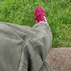 dampfross