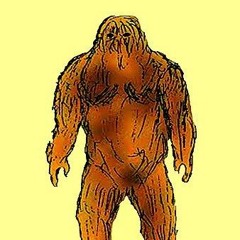 BIGfoot BEATS