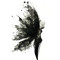 The Winged Goddess