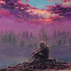 Illusioon11D