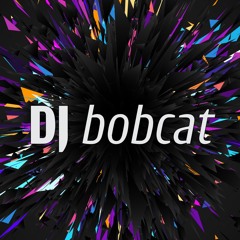 DJ bobcat
