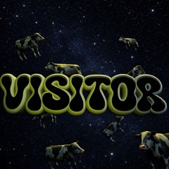 Visitor