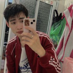 NgV Việt