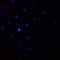 Jay_17