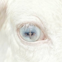 𝐒𝐭𝐞𝐟 𝐝𝐞 𝐇𝐚𝐚𝐧ッ