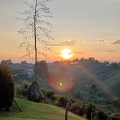 Azuluaga098