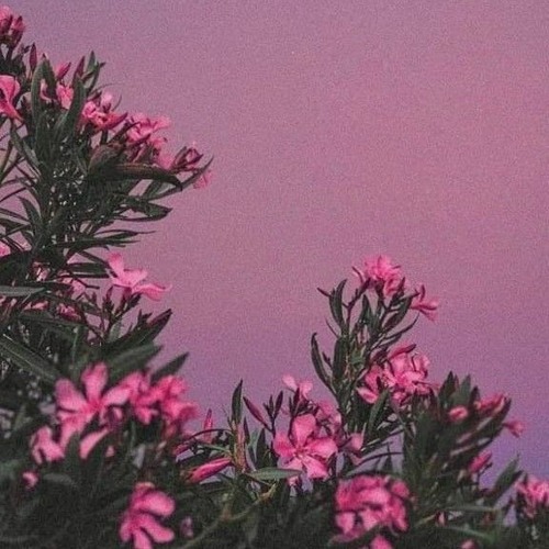 BABY J B2B TYE TURNER ｜ SYBER： 008.mp3