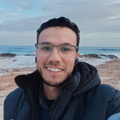mostafa elbedawy