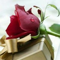 Eman Salama