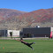 Jordan Thurman