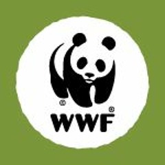 WWF-Rangers