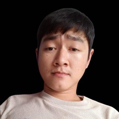 LouisVN43