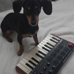 (B Side)Barry Fisherman Presents: BAce - Pretty Magic