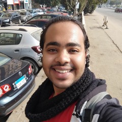 Tarek Mohamed