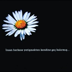Helin Helin