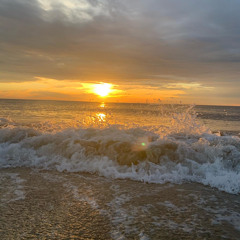 Israel.Z