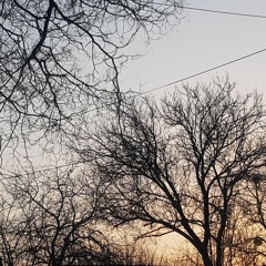 Саньок