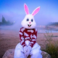 BadgerBunny