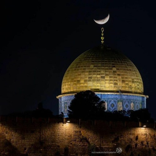 أوَهكذا تمضي وترحل فجأةً - علاء ناجي