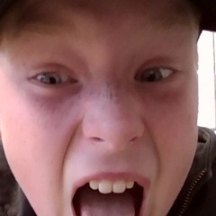 Vincent.tornvall11