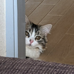 zoeessy