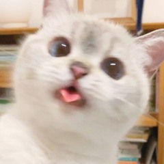 chpxr