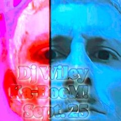 DJ WILEY
