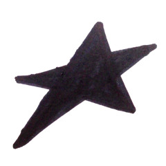 brotha star