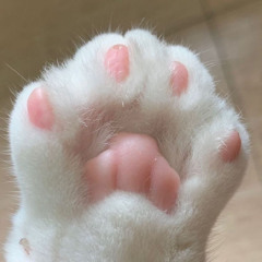 희희