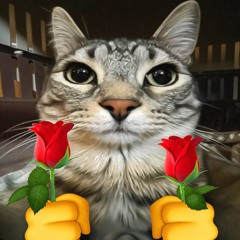 Nico