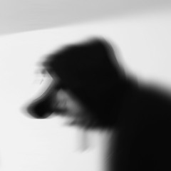 ⚡️skirbee⚡️slowed + reverb / leaks page