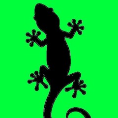 The Gecko