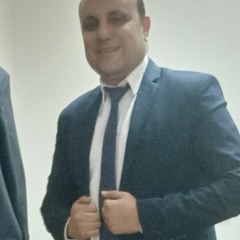 Ayman Nasr