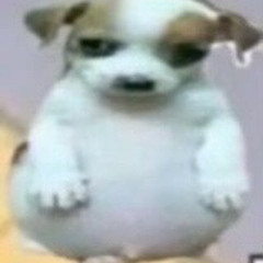 mattlol