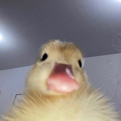 ꧁༒☬ѕυииу☬༒꧂