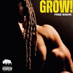 FREE BISON
