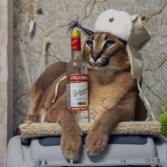 É O LOBO MAL - JOVEM BEEZY