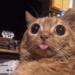 Felix