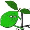 Lime Jello Wizard Gang Leader