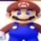 The Mario Bros