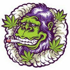 BlazeZillla420