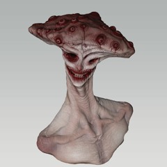 FunguX404