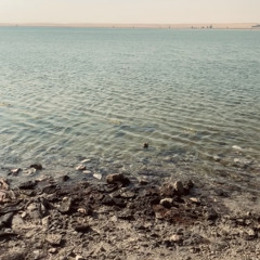 manar algheryafi