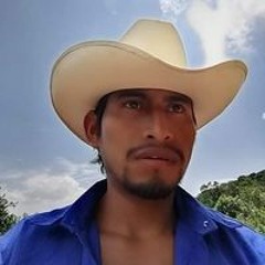 Modesto Mendoza