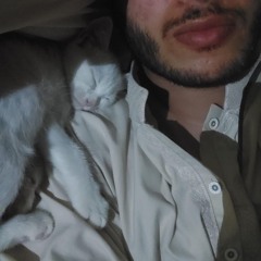 Emad Behery